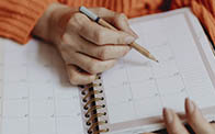 organisiert